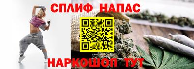 индика Нарткала