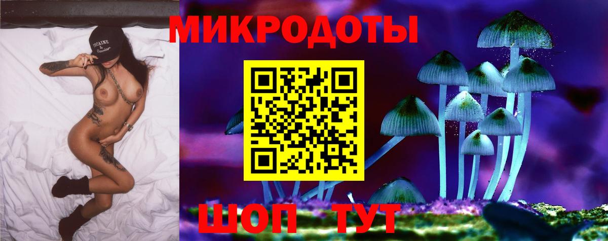 Псилоцибиновые грибы MAGIC MUSHROOMS  Вход с VPN  Псилоцибиновые грибы Psilocybine cubensis  Великий Новгород 